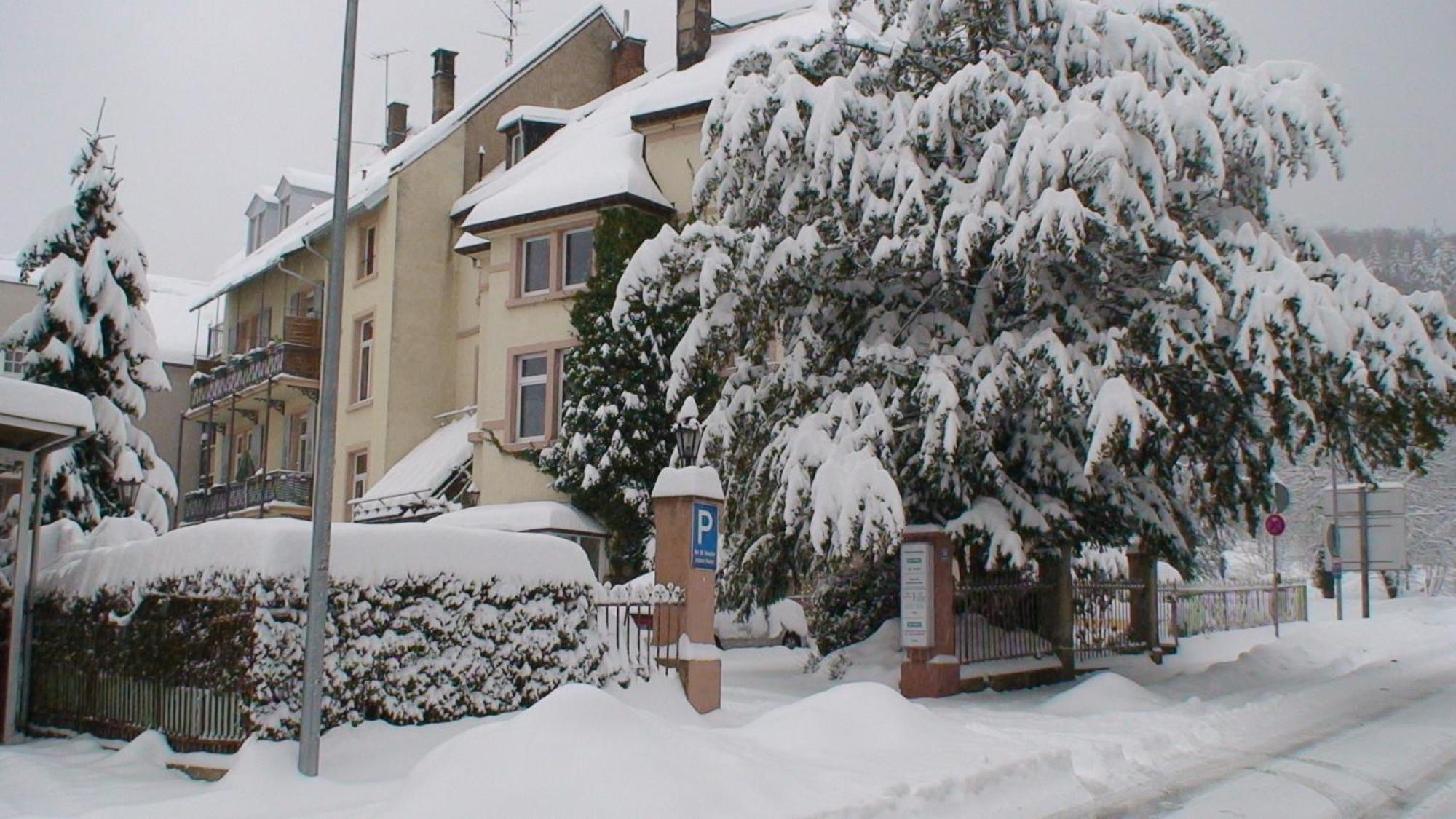 Am Festspielhaus Appartement *